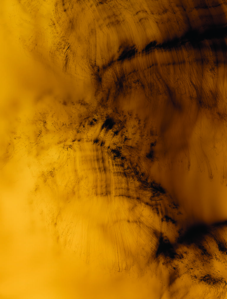 Arquitetura e som: fotógrafo alemão Wolfgang Tillmans expõe suas obras na Bienal de São Paulo